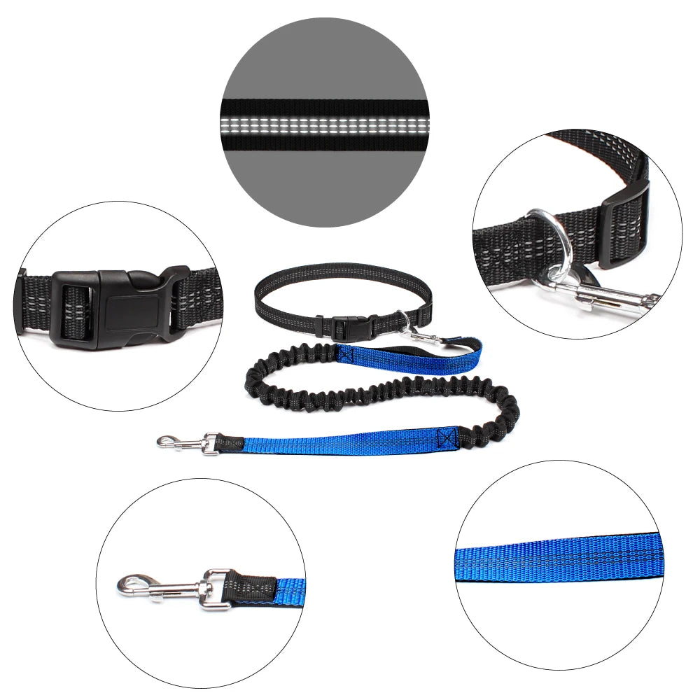 Laisse mains libres avec ceinture pour chien