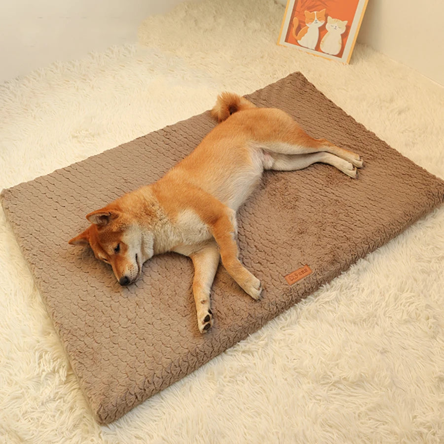 Tapis en peluche déhoussable pour chien et chat