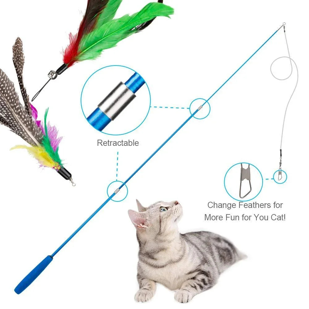 Lot de 11 jouets canne télescopique avec plumes pour chat
