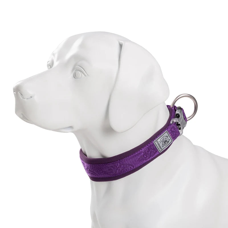 TRUE LOVE - Collier pour chien en nylon avec rembourrage en néoprène