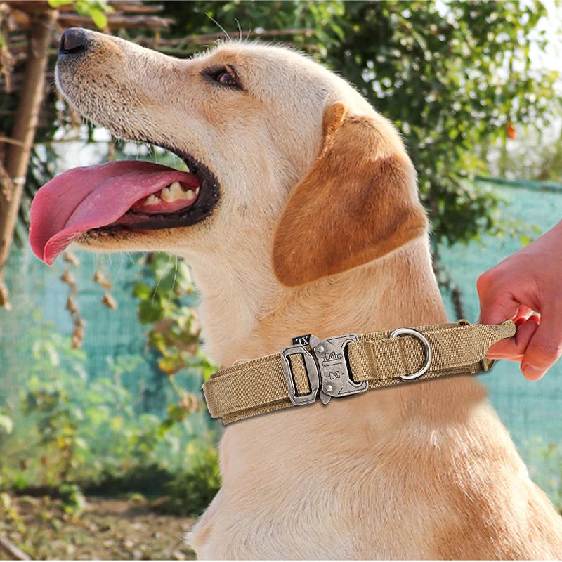 Collier tactique d'entraînement pour chien