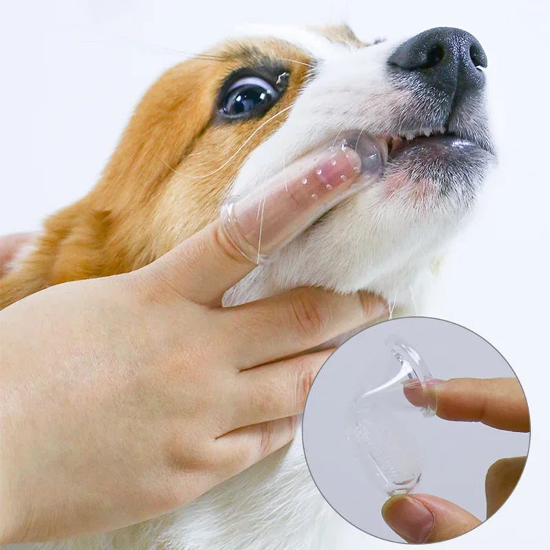 Brosse à dents pour chien et chat - soins dentaires contre la mauvaise haleine et le tartre