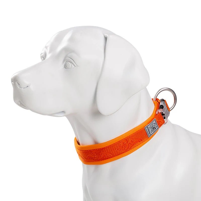 TRUE LOVE - Collier pour chien en nylon avec rembourrage en néoprène