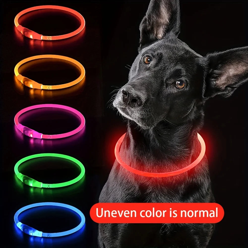 Collier Lumineux à LED Sécurisant avec 3 Modes d'Éclairage, Rechargeable par USB pour Chien