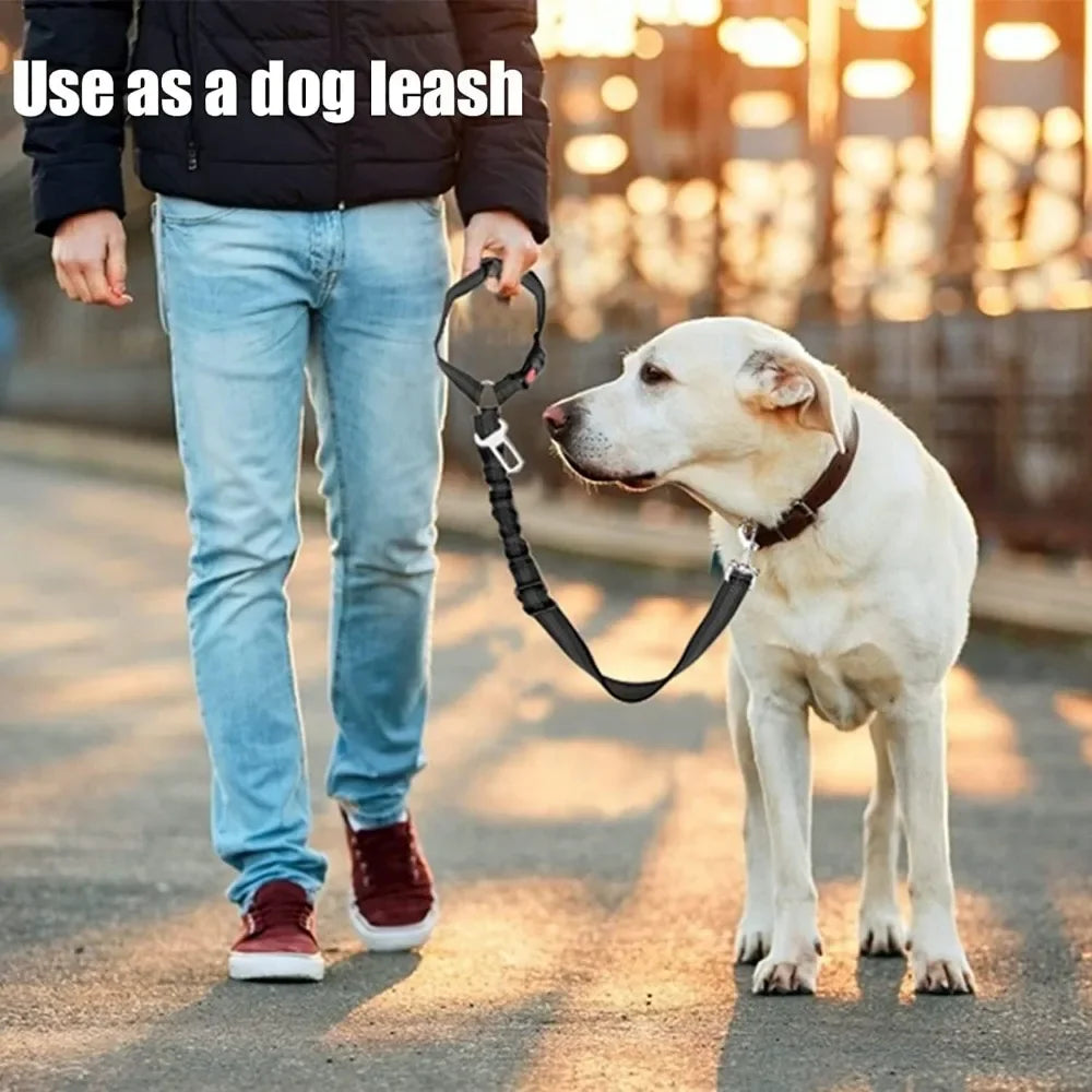 Ceinture de sécurité 2 en 1 ajustable pour chien