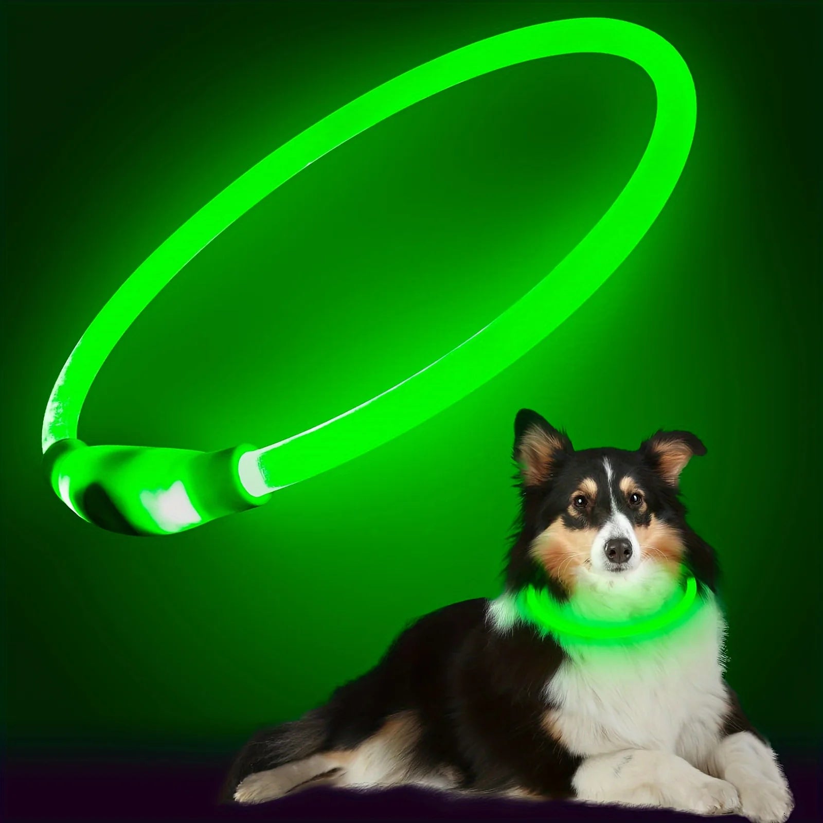 Collier Lumineux à LED Sécurisant avec 3 Modes d'Éclairage, Rechargeable par USB pour Chien