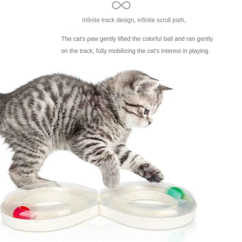 Circuit de jeu amusant en forme de 8 avec 2 balles pour chat