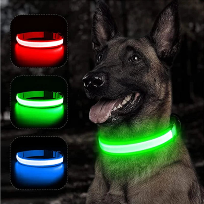 Collier Lumineux à LED pour Chien Rechargeable par USB avec 3 Modes d'Éclairage