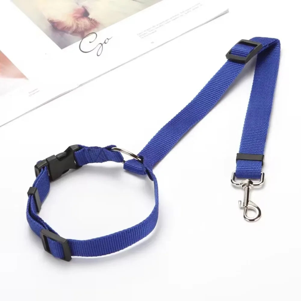 Ceinture de sécurité 2 en 1 ajustable pour chien