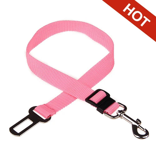 Ceinture de sécurité ajustable pour chien