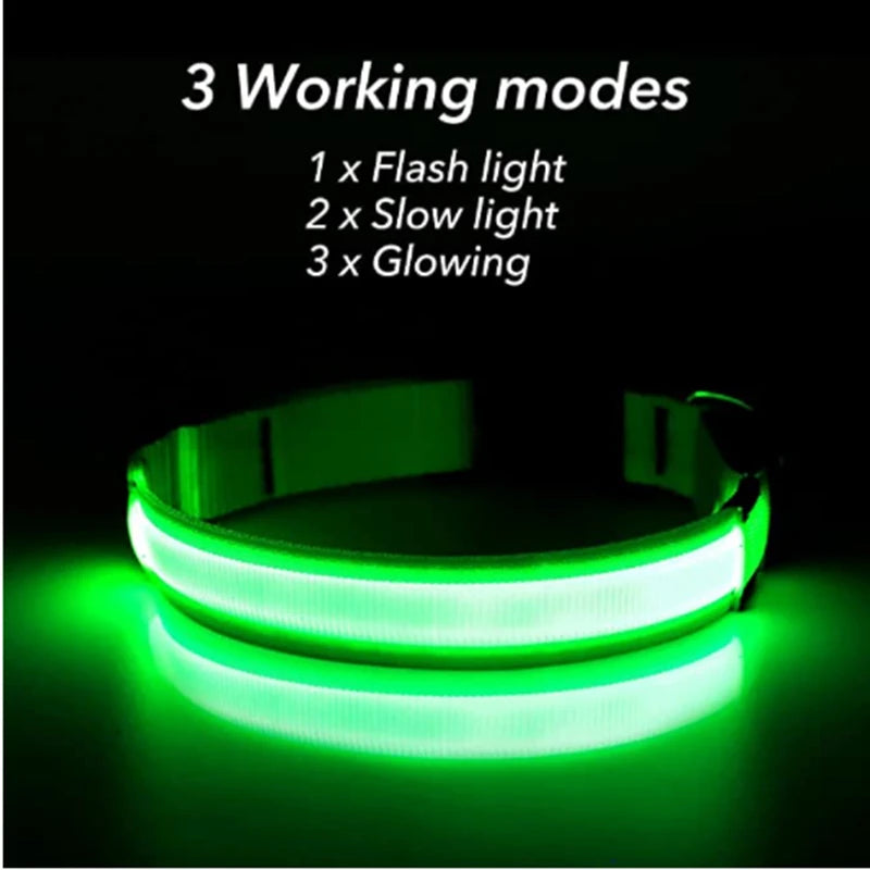 Collier Lumineux à LED pour Chien Rechargeable par USB avec 3 Modes d'Éclairage