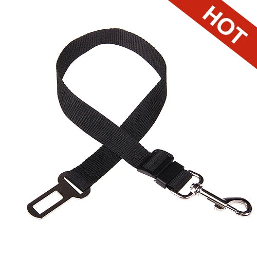 Ceinture de sécurité ajustable pour chien