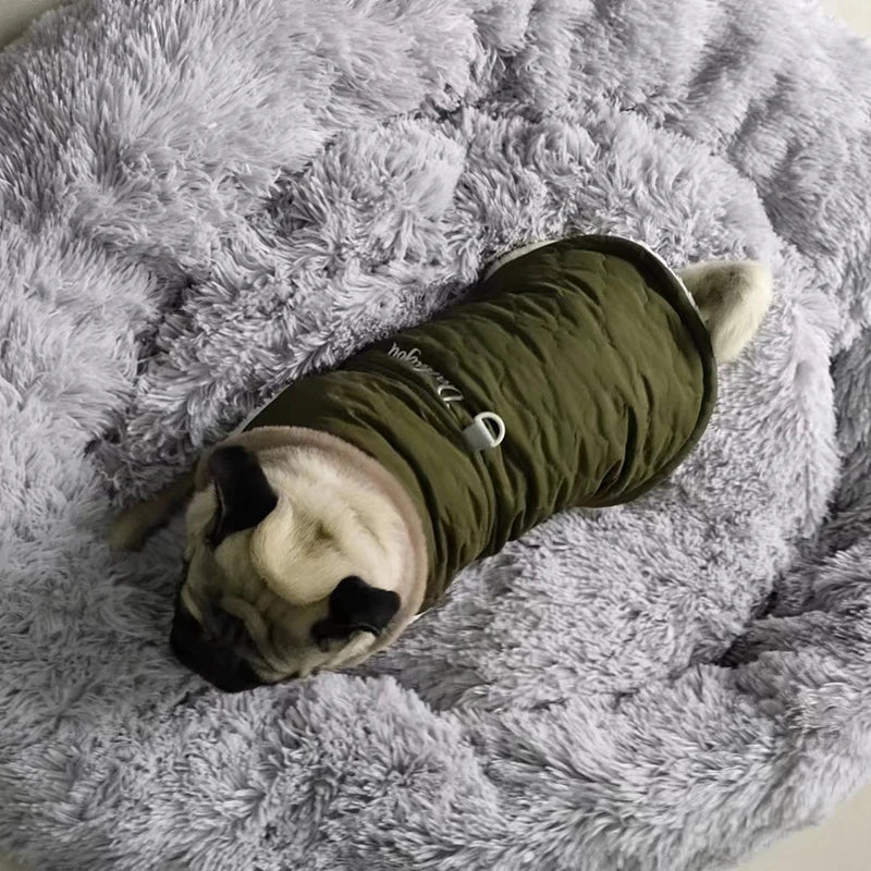 Manteau Imperméable avec col en fourrure et doublure en polaire pour petits chiens