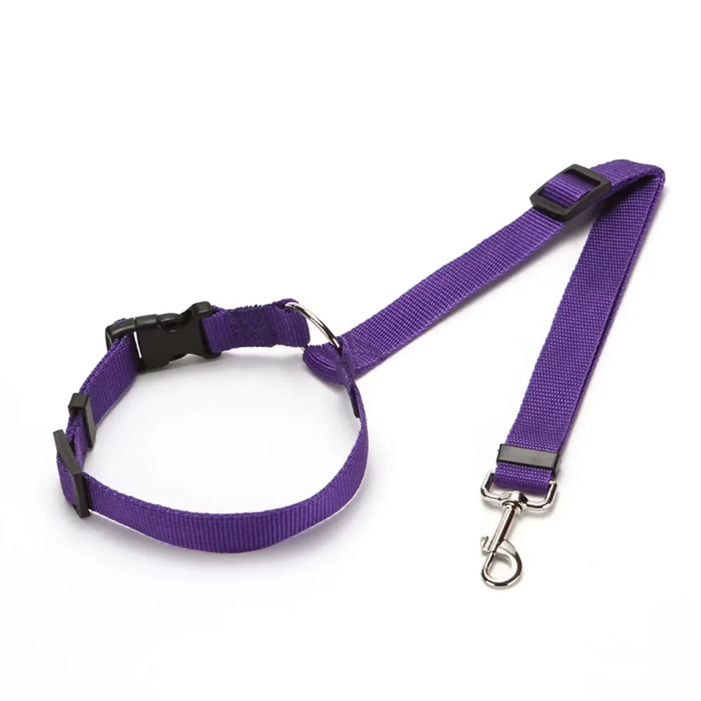 Ceinture de sécurité 2 en 1 ajustable pour chien