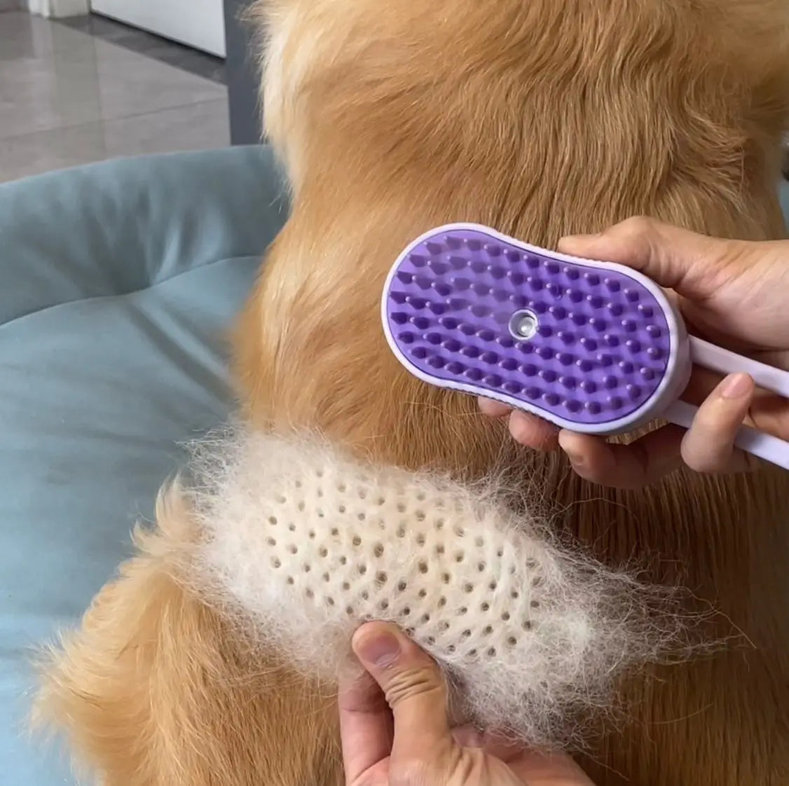 Brosse à vapeur pour chien et chat