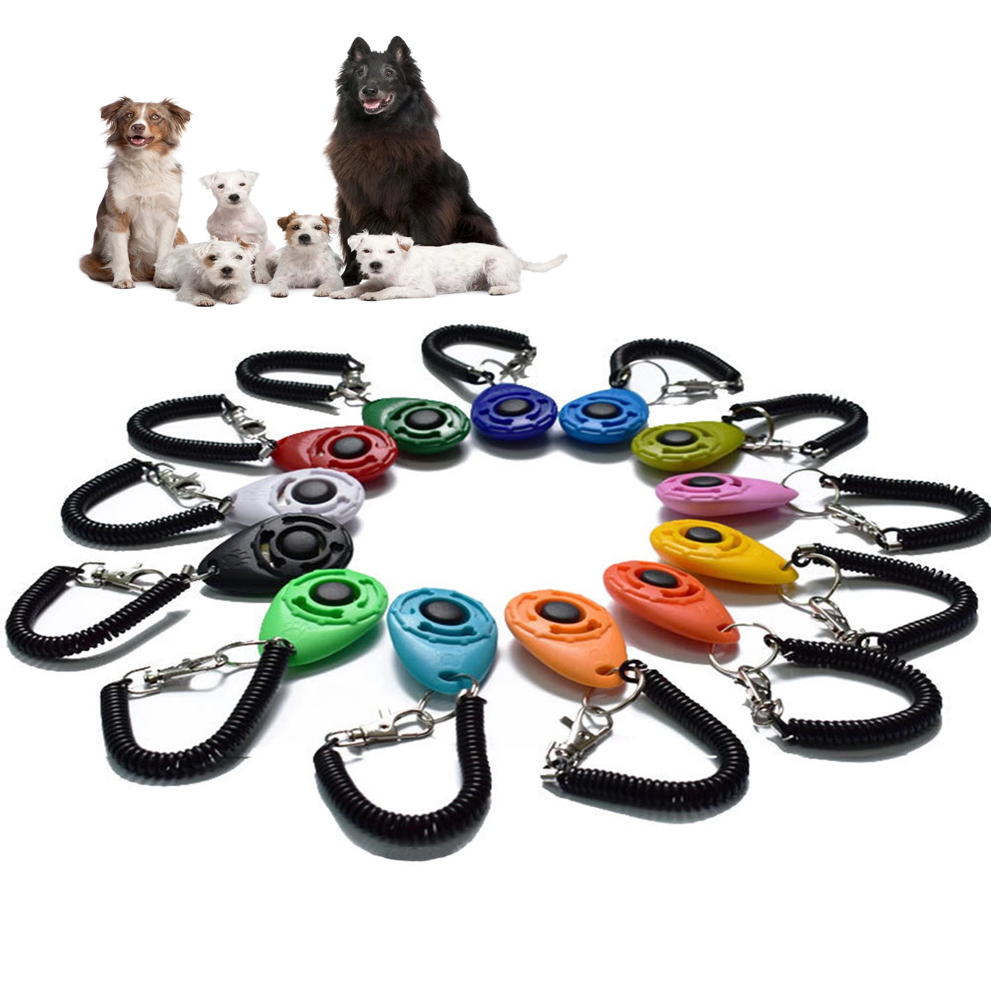 Clicker de dressage pour chien