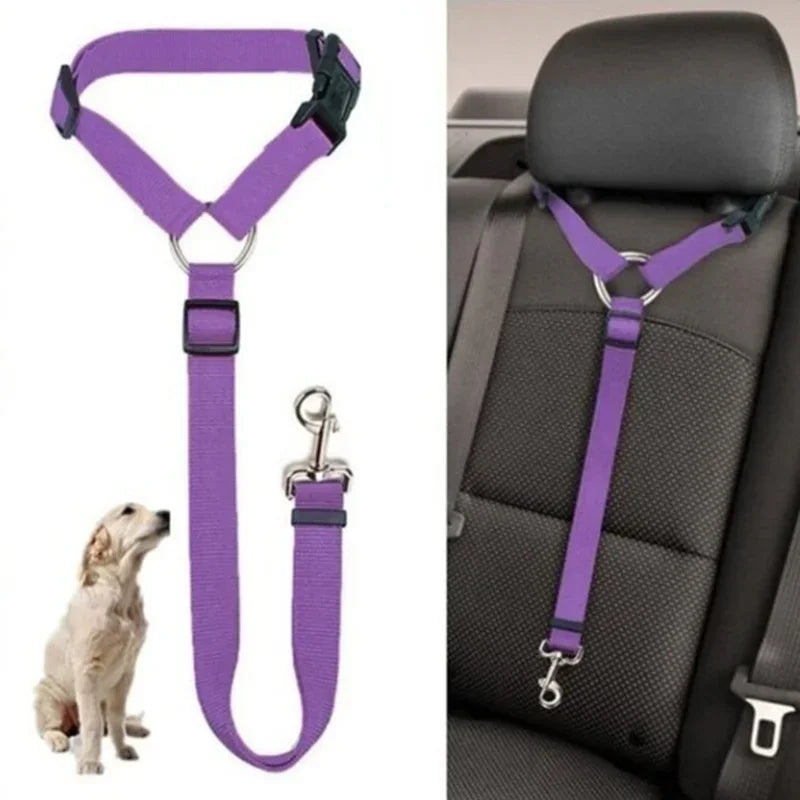 Ceinture de sécurité 2 en 1 ajustable pour chien