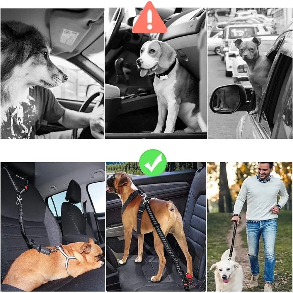 Ceinture de sécurité 2 en 1 ajustable pour chien