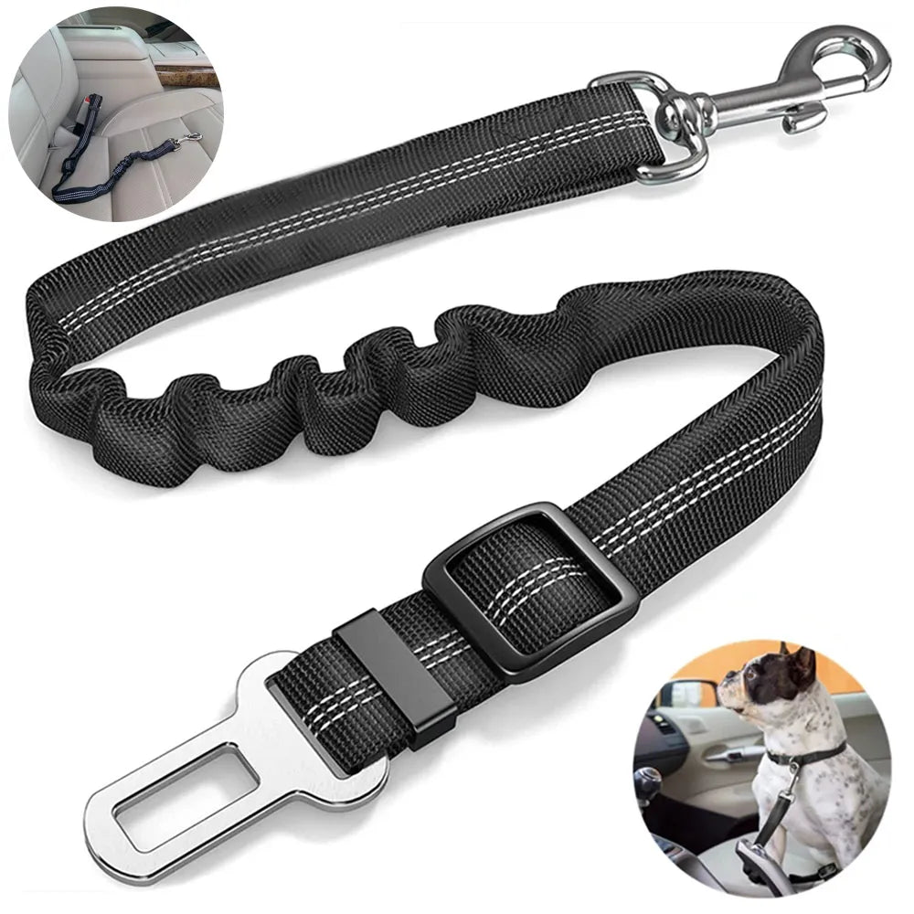 Ceinture de sécurité ajustable pour chien