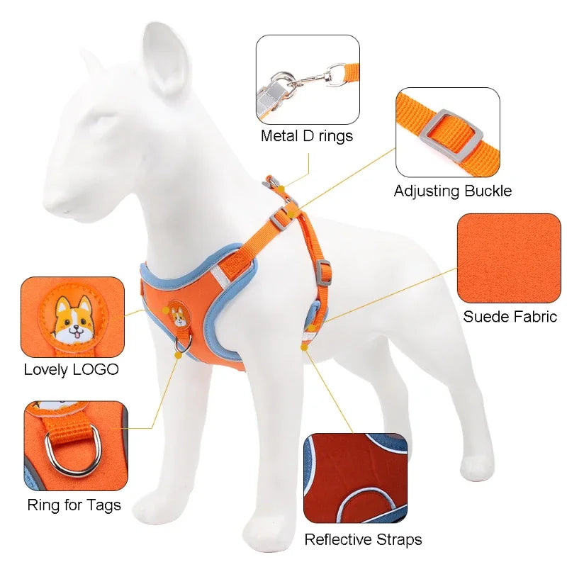 Harnais Anti-Traction réfléchissant réglable et confortable avec laisse pour chiens de petite et moyenne taille