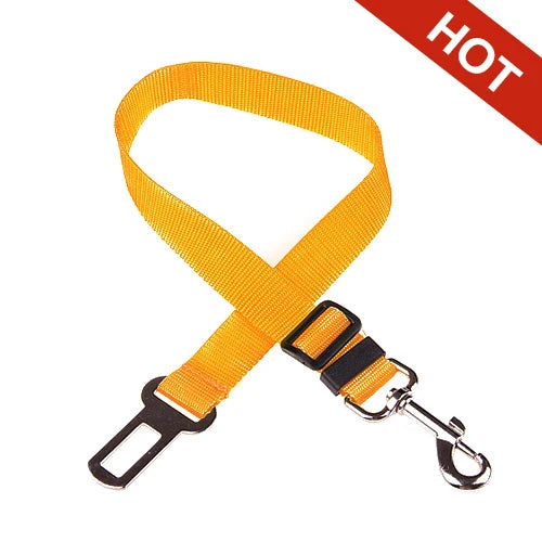 Ceinture de sécurité ajustable pour chien