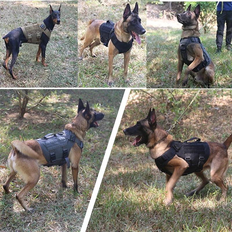 Ensemble Militaire Tactique K9 - Harnais Anti-Traction et Laisses d'entraînement pour chien