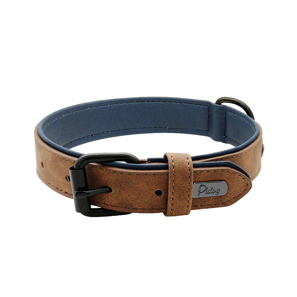 Collier rembourré ultra-confort pour chien