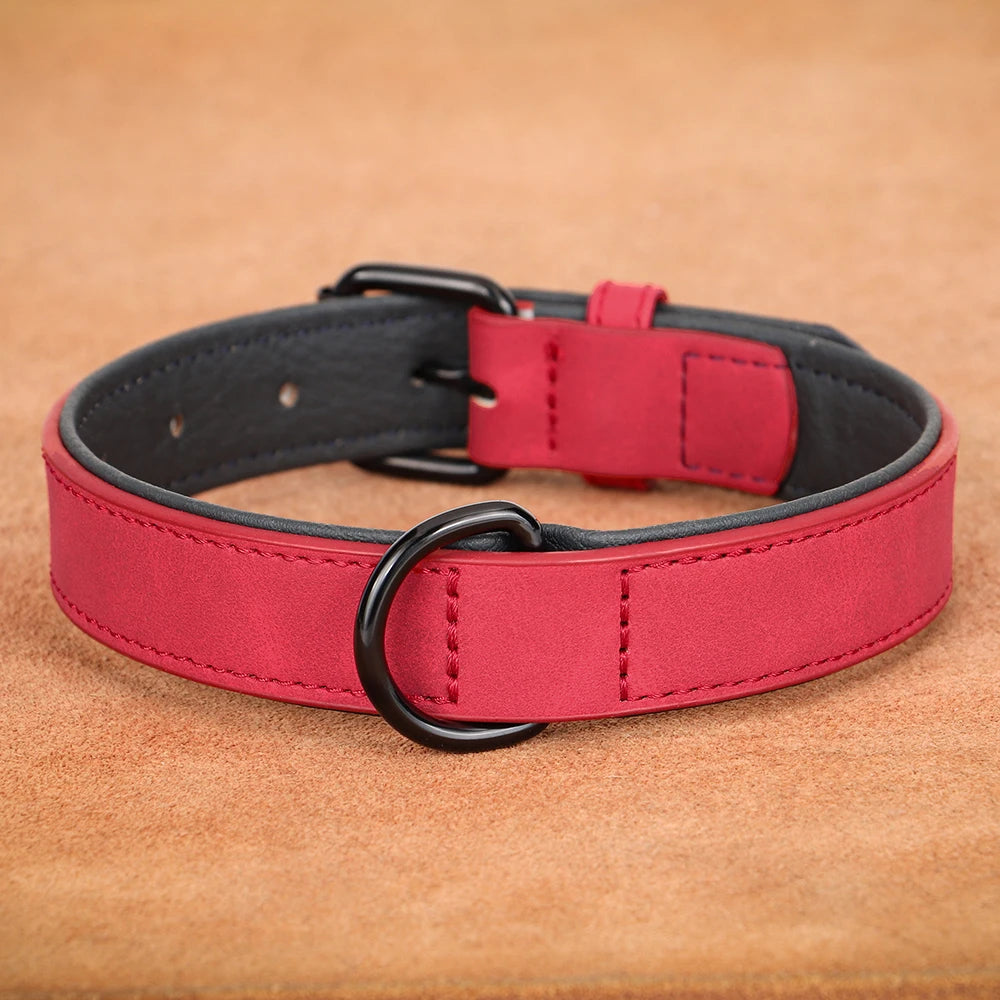 Collier rembourré ultra-confort pour chien
