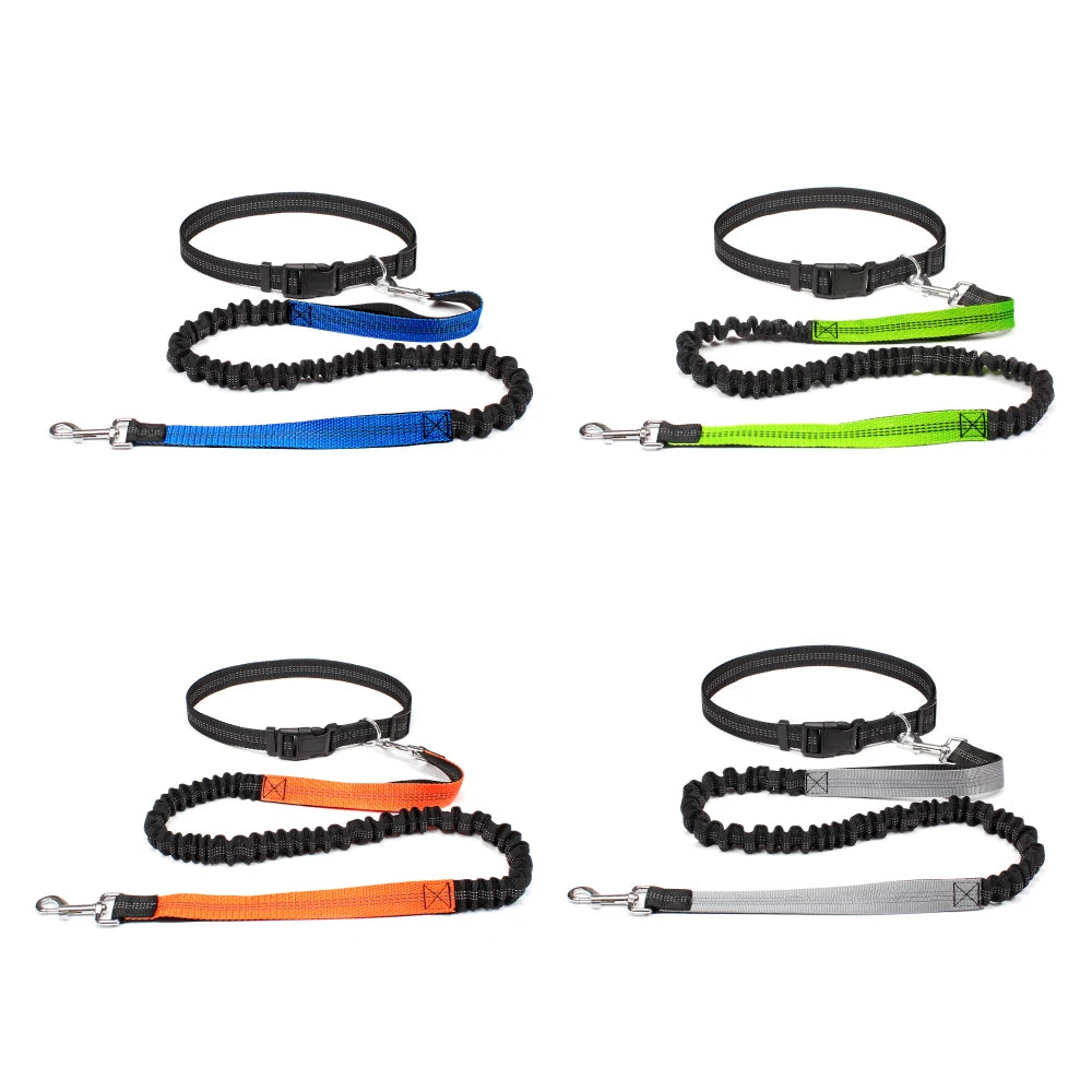 Laisse mains libres avec ceinture pour chien