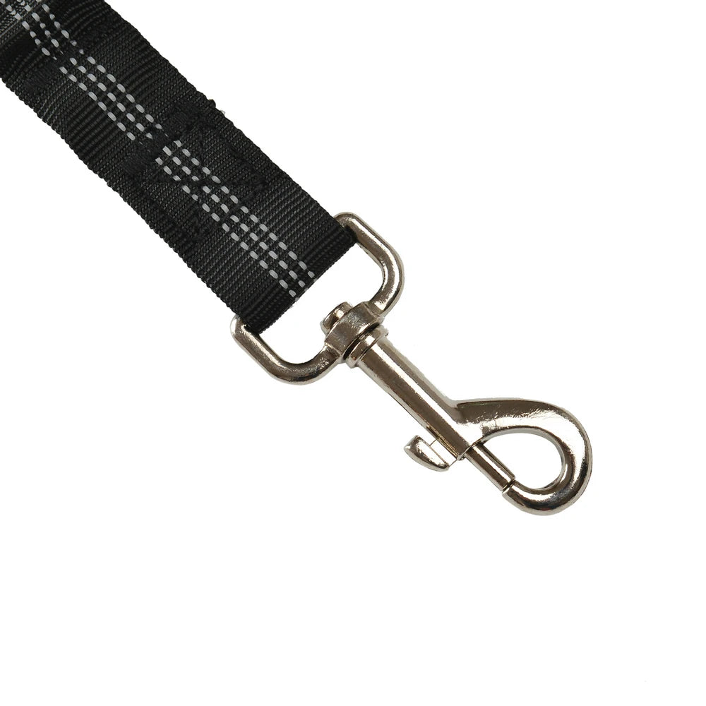 Ceinture de sécurité ajustable pour chien