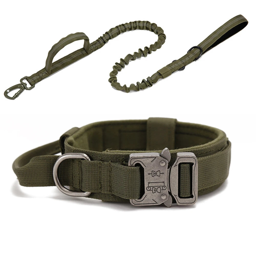 Collier tactique d'entraînement pour chien