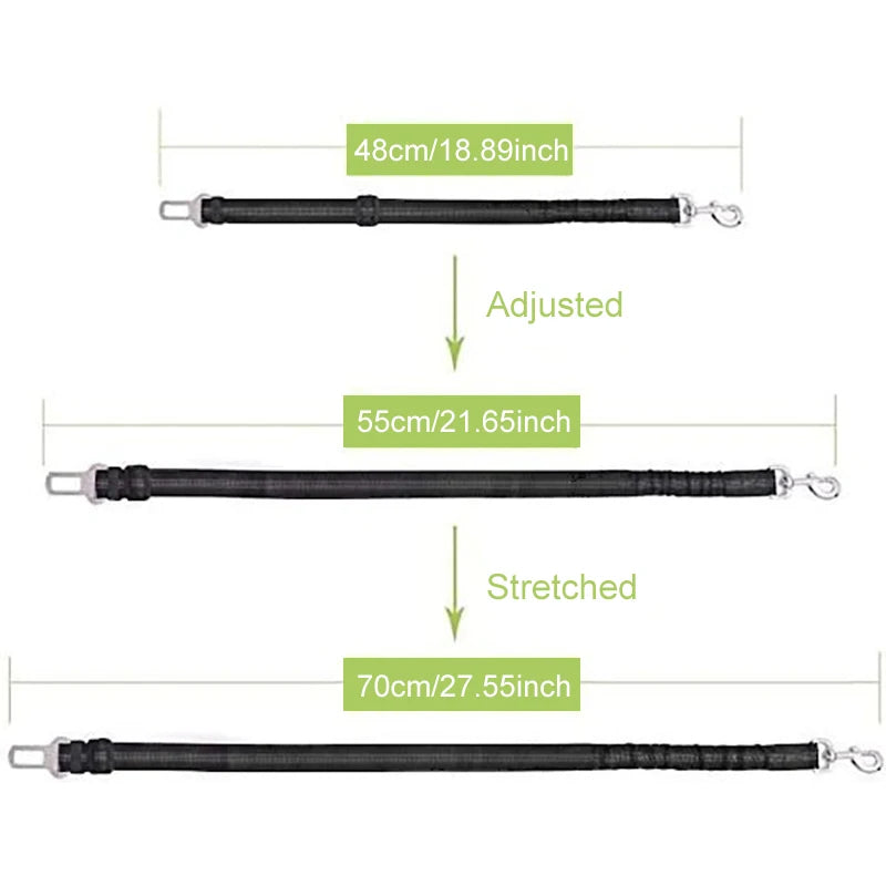 Ceinture de sécurité ajustable pour chien