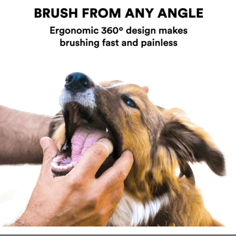 Brosse à dents doigtier douce à 360 degrés en silicone pour chien et chat