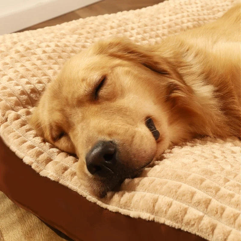 Matelas déhoussable anti douleur pour chien