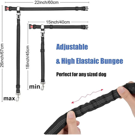 Ceinture de sécurité 2 en 1 ajustable pour chien