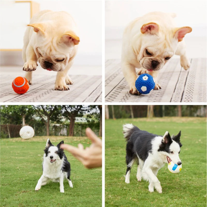 Ballon sonore de rugby, football et volley-ball en latex pour petits et moyens chiens